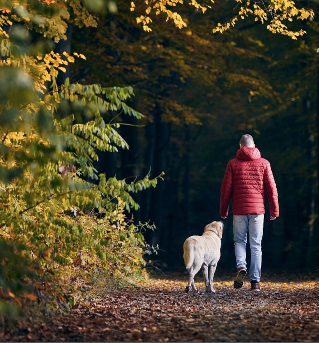 Autumn Walks Hero 001