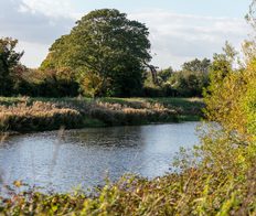 Witham Way 001