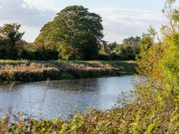 Witham Way 001